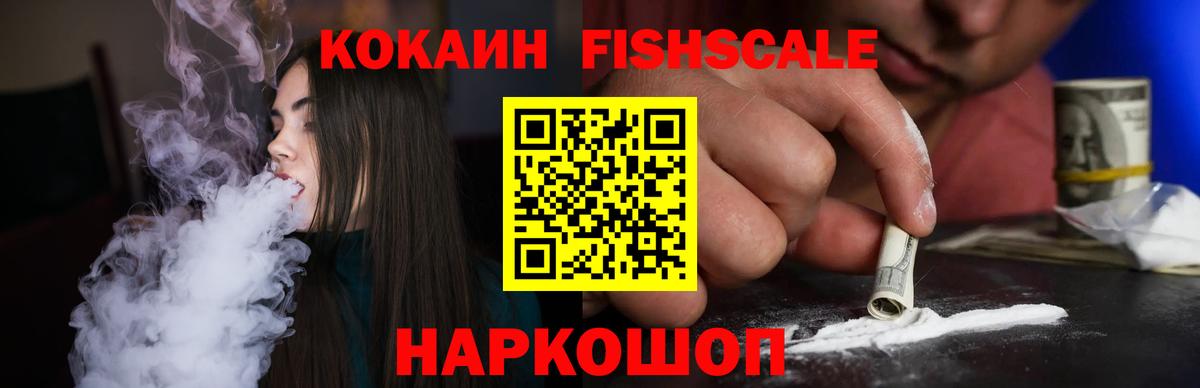 COCAIN VHQ  COCAIN Fish Scale  Заречный  Вход с VPN 