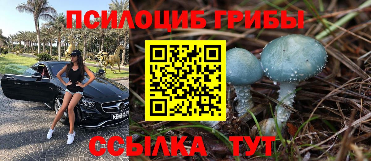 Галлюциногенные грибы Cubensis Заречный