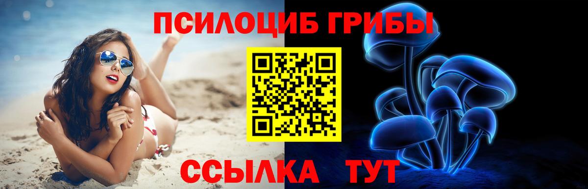 Галлюциногенные грибы Psilocybine cubensis  Вход с VPN  Заречный 